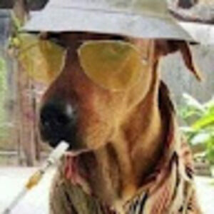 Meet your Posher, Femme